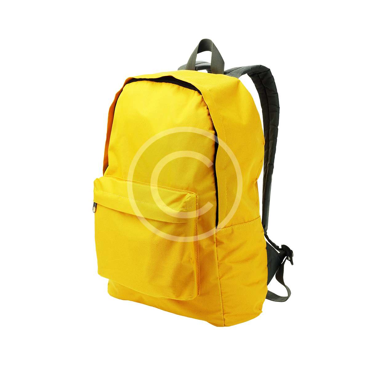 Student Backpack